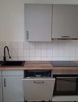 Neuwertige EBK mit Geschirrspüler und Herd - Bergen (Sachsen)