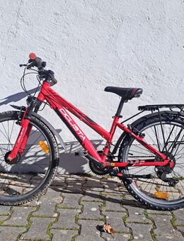 24 zoll jugendrad Neupreis über 400 € - Gräfelfing