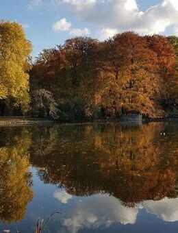 Über den Wolken, mit Blick auf den Rombergpark - Dortmund