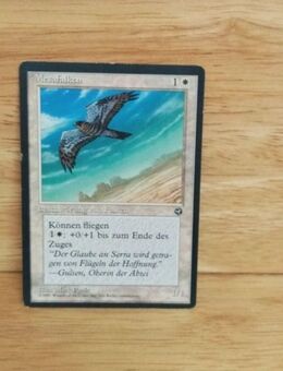 Magic The Gathering-Mesafalken - Nörvenich