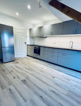 Erstbezug nach Sanierung 4,5 Zimmer Whg FT Innenstadt mit großem Dachterrasse - Frankenthal (Pfalz)