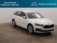 Skoda Octavia, 2.0 TDI Combi Style 110kW, Jahr 2022 - Braunschweig