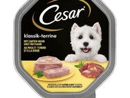 Megapack Cesar Schale 28 x 150 g - Klassiker mit zartem Huhn und Truthahn