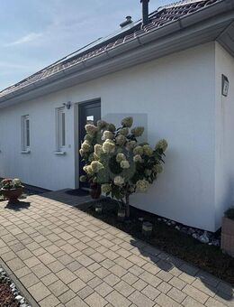 OFFENES WOHNEN MIT WOHLFÜHLGARANTIE - Sassnitz
