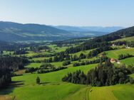 Vielseitiges Baugrundstück in besonders ruhiger Lage - Oberreute