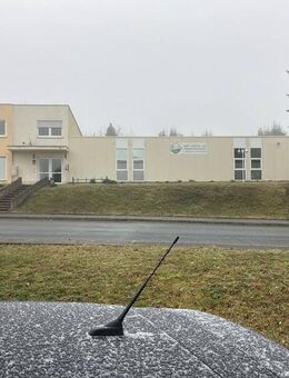 Büro, Wohnung und Lagerfläche in Waldheim - Waldheim