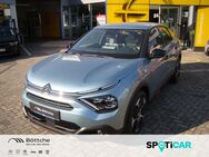 Citroën C4, Feel 100 PT, Jahr 2024 - Dessau-Roßlau