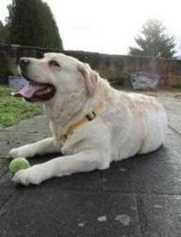 Freundliche, gemütliche Sahara - Großefehn