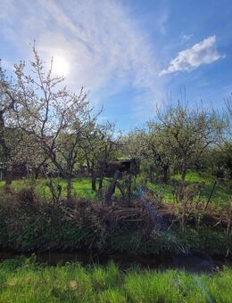 Freie, naturnahe Doppelhaushälfte mit viel (Ausbau-) Potential ! Streuobstwiese, eigener Bachlauf... - Schwabach