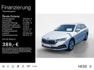 Skoda Octavia, 2.0 TDI Combi STYLE 17ZOLL, Jahr 2023 - Büdingen Zentrum