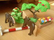 PLAYMOBIL ~ Reiterhof ~ Dressurpferde - Usingen