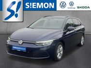 VW Golf Variant, 8 TDI Life, Jahr 2021 - Ibbenbüren