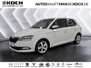 Skoda Fabia, 1.0 TSI Cool Plus Enjoy TOP, Jahr 2021 - Berlin