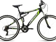 KS Cycling Mountainbike Scrawler, 21 Gang Shimano Tourney Schaltwerk, Kettenschaltung, für Herren, Kettenschaltung