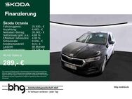 Skoda Octavia, 1.4 TSI Combi Ambition Octavia Combi iV, Jahr 2022 - Freiburg (Breisgau)