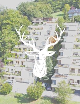 Schöne 5,5 Zimmer Terrassenwohnung im 1. OG in bester Lage von Kadelburg zu verkaufen - Küssaberg