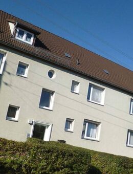 1. Kaltmiete frei ! - Frisch sanierte 2 Raum Wohnung - Bad Düben