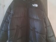 The north face Herren winterjacke - Ulm