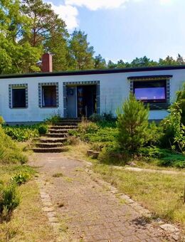 "Ihr Platz im Grünen - Haus mit überdachter Terrasse, Teich & großem Garten direkt am Waldrand" - Jerichow