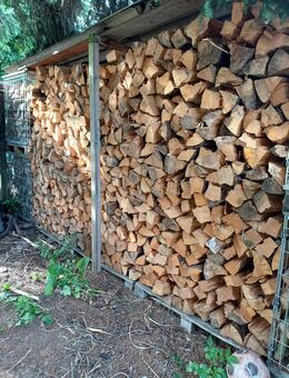 5,5 RM Brennholz/Nadelholz - Groß Zimmern