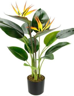 Kunstpflanze Strelitzienpflanze im Topf, I.GE.A., Höhe 62 cm, Kunstblumen Zimmerpflanze