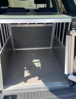 Hunde Transport Box - Frensdorf