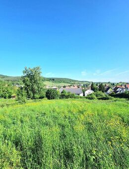 Bauernhof mit Entwicklungspotential - über 4.000 m² - grandiose Fernsicht! - Oberotterbach