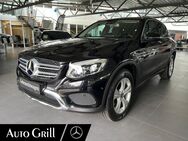 Mercedes GLC 250, d, Jahr 2017 - Hohenlinden