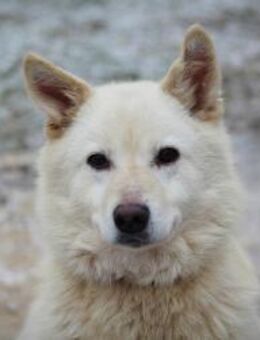 LUKAS - Aussen und Innen wunderschön - Augsburg