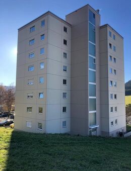 3-Zimmer-Wohnung mit toller Aussicht - Wehingen