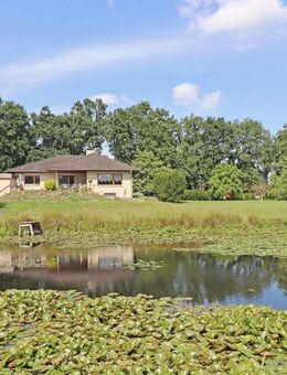 Bungalow in Stadtnähe mit großzügigem Grundstück - Dannenberg (Elbe)