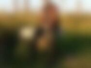 Lip*** - Lippstadt