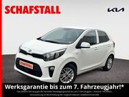 Kia Picanto Dream Team 1.0 wenig KM Navi Carplay Sitzheizung Alu - Bergheim (Nordrhein-Westfalen)