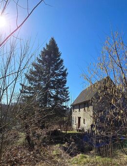 Idyllisches Grundstück mit Potenzial für Liebhaber in Penig - Penig