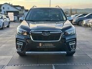 Subaru Forester Platinum *PANO*AHK*LEDER* - Gießen