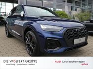 Audi Q5, S line 40 TDI quattro ADAPTIVE, Jahr 2024 - Großwallstadt