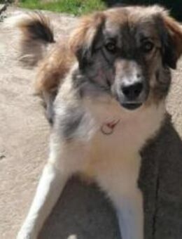 Tequila lässt dein Herz aufgehen! - München