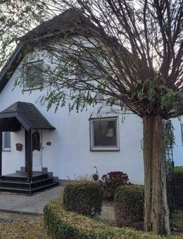 Freistehendes Einfamilienhaus in ruhiger Umgebung - ideal für die junge Familie! - Bad Sassendorf