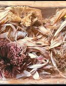 Jens Friedrich in 12055