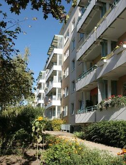 Platz für Familienleben! - Neubrandenburg