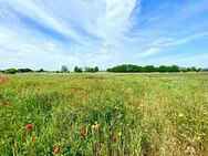 Landgut auf Usedom - Zwei vollständig ausgebaute Wohngebäude, über 700 m² Wohnfläche in idyllischer Naturkulisse - Usedom