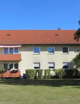 Alles NEU! Komplett renovierte 4-Zi.-Wohnung +++ neues Tageslicht-Bad! Balkon. - Dörfles-Esbach