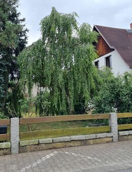 DHH Schwepnitz - Schwepnitz