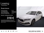 Skoda Octavia, 2.0 TDI Combi Style, Jahr 2024 - Haßfurt