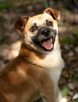 VUKI - Lebensfreude pur - Wettenberg