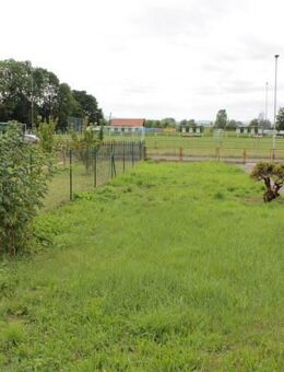 Preisreduziert! Einfamilienhaus mit Garten, Nebengebäude und Scheune in Bingenheim. - Echzell