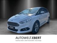 Ford S-Max, 1.5 EcoBoost Business (Euro 6d-), Jahr 2020 - Weinheim