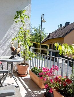 Charmante Erdgeschosswohnung mit Terrasse und Weitblick in Bollendorf - Bollendorf