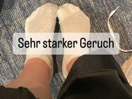 Getragene Socken mit starken Geruch - Horn-Bad Meinberg Bad Meinberg