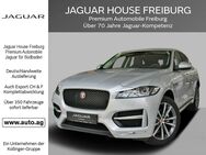 Jaguar F-Pace, 20D AWD R-SPORT APPROVED, Jahr 2019 - Freiburg (Breisgau)